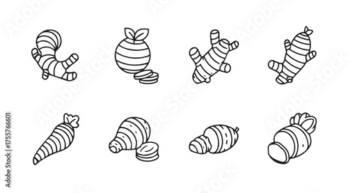 Hand drawn collection of root vegetables and spices with botanical elements isolated vector