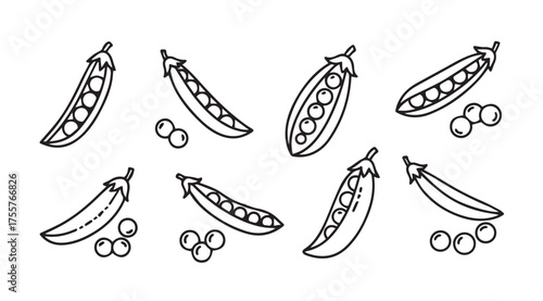 Hand drawn sketch of fresh pea pods and peas scattered naturally for healthy eating and cooking vector