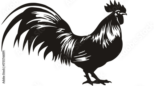 Black rooster silhouette with large tail feathers