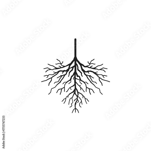 Black stylized illustration of a plant's branching root system on a white background