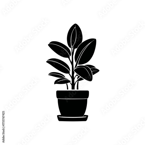 Silhouette of a potted plant with lush leaves
