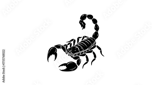 Black scorpion silhouette with raised, segmented tail and pincers