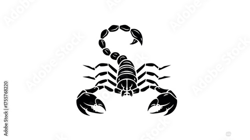 Black scorpion with raised tail, sharp claws, and segmented body