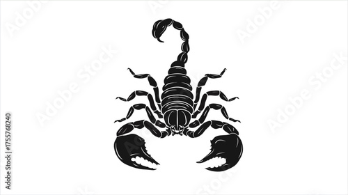 Black silhouette of a detailed scorpion with raised tail and pincers