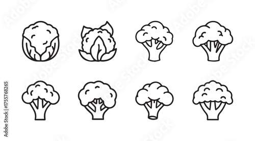 Hand drawn broccoli and cabbage icons collection fresh healthy vegetables line art collection vector