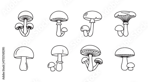 Hand drawn mushroom variety set botanical sketch art natural food elements nature foraging forest woodland vector