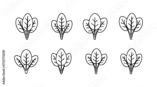 Set of hand drawn spinach leaves icons fresh organic green food ingredient sketch style vector