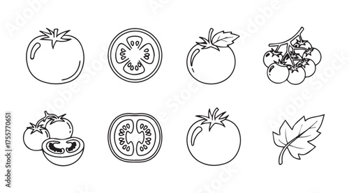 Collection of fresh tomato icons and illustrations representing various forms and stages of growth vector