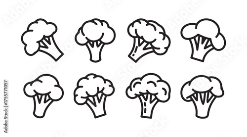 Collection of hand drawn broccoli florets isolated on simple food icons vector