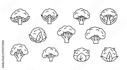 Hand drawn broccoli florets and heads sketches collection culinary ingredient food art vector