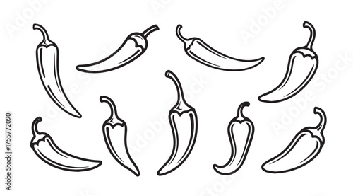 Hand drawn chili pepper collection isolated elements spice food ingredient flavor culinary sketch style vector