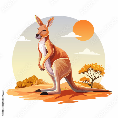 Känguru im Outback