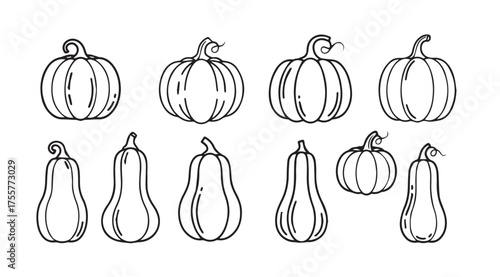 Hand drawn sketch collection of various pumpkins and gourds for autumn harvest celebration vector