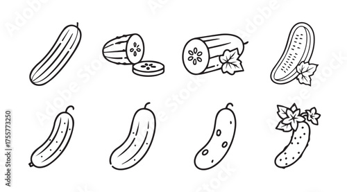 Hand drawn cucumber icons set fresh vegetables organic produce food ingredients line art collection vector