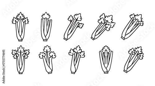 Fresh celery stalks hand drawn line art set simple organic vegetable design collection vector