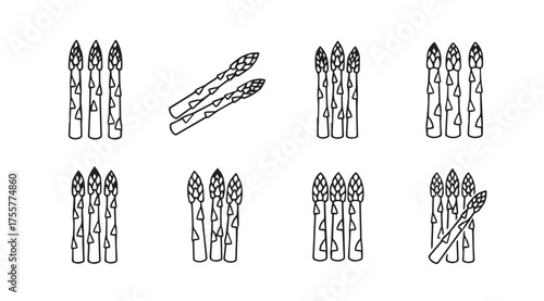 Collection of hand drawn asparagus stalks in various arrangements fresh produce food ingredient healthy eating vector