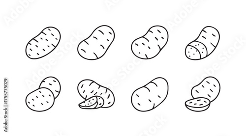 Set of eight hand-drawn potato icons isolated on a with variety of cuts vector