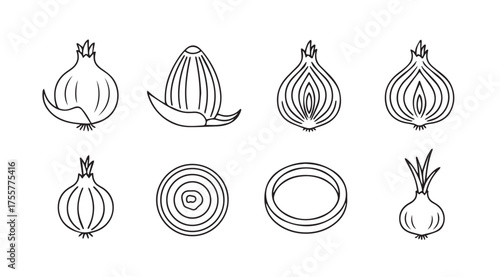 Hand drawn sketch of fresh onions and garlic cloves for culinary art and design elements vector