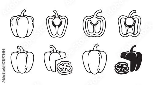 Collection of bell pepper illustrations with various views and cuts for fresh produce concepts vector