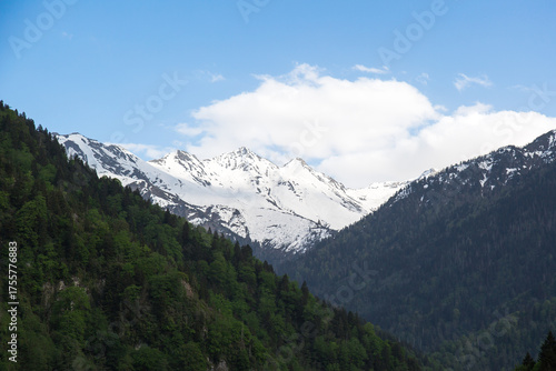 Wallpaper Mural Beautiful view of the Kachkar Mountains in Turkey with snow-covered peaks and green forested slopes under a blue sky. Concept of nature, travel, adventure, landscape, and outdoor exploration Torontodigital.ca