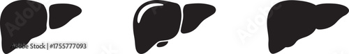liver silhouette on white background