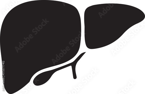 liver silhouette on white background