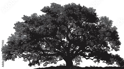Dense, sprawling tree silhouette with varied grey foliage and dark trunk