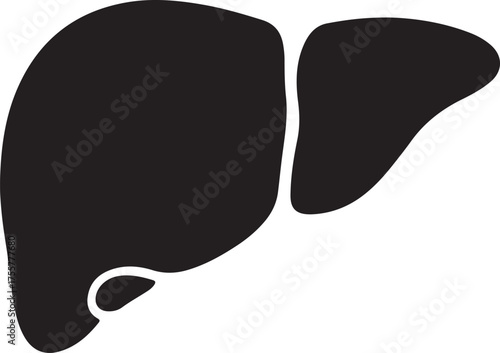 liver silhouette on white background
