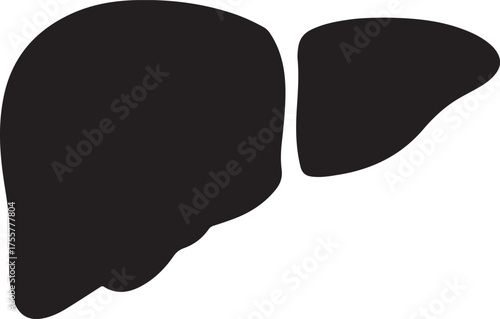 liver silhouette on white background
