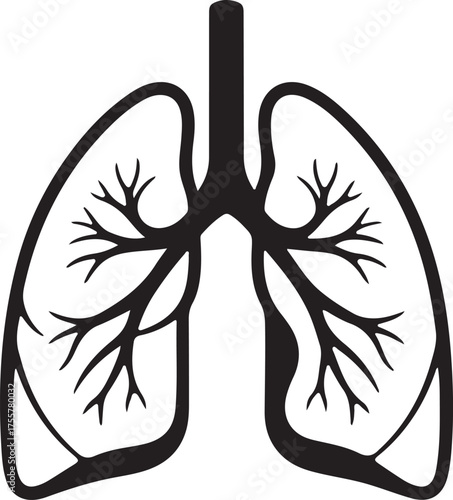 lungs silhouette on white background
