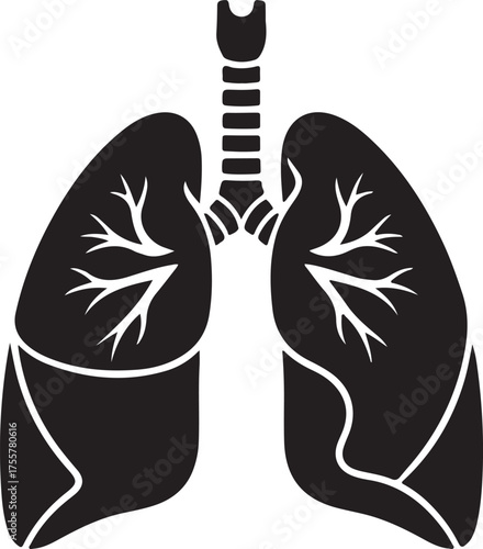 lungs silhouette on white background