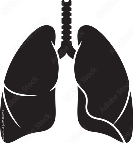 lungs silhouette on white background