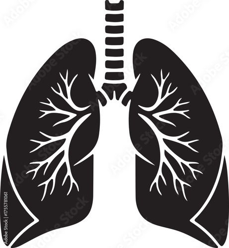 lungs silhouette on white background