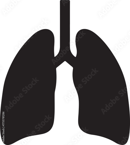 lungs silhouette on white background