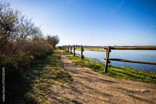 Discover scenic tranquility along this serene lakeside path, perfect for outdoor adventures, promoting peaceful reflection and a connection with nature