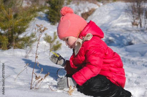 Education, homework. Little girl in warm winter clothes with a magnifying glass in her hand investigate details of nature . Winter outdoor kids activity, learning, science concept. Little expedition