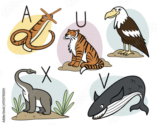 Animals and letters of the alphabet in cartoon style