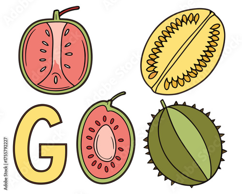 Exotic fruits with the letters go