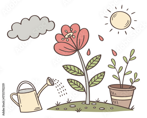 Illustration of a flower being watered, growing under the sun and cloud