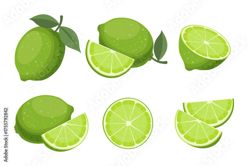 Citrus set with limes and leaves. Fresh green limes and slices collection, cut and whole fruits.Tropical fruit illustration. 