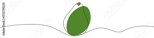 Avocado in one line art style. Drawing of a whole avocado, with editable black stroke and color on white background. Vector illustration.