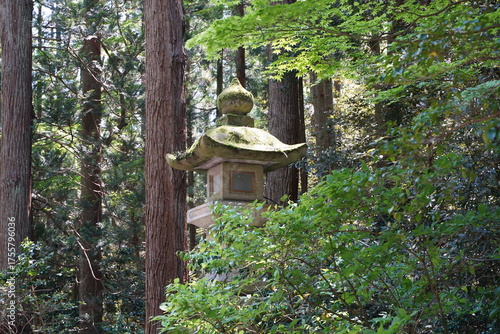 buddhist temple in the garden
japan
