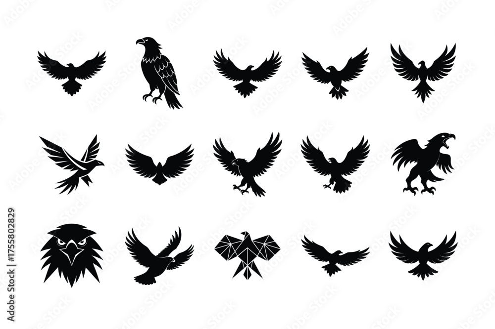 Obraz premium black wings set