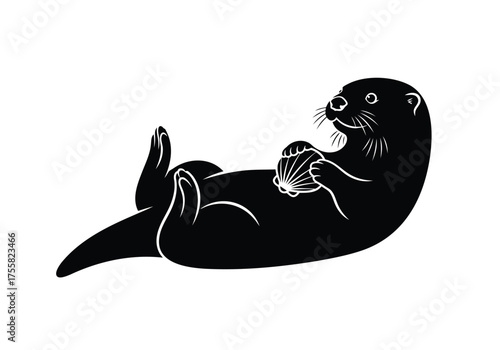 Cute black otter holding a shell on its belly while floating on water, isolated on white background
