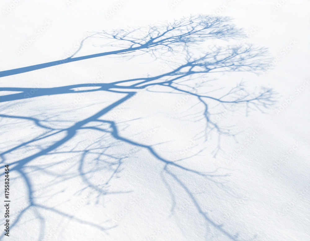 Fototapeta premium Shadow of bare winter tree branches cast on white snow