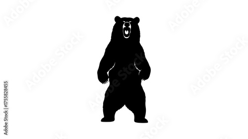 Roaring bear silhouette with transparent background
