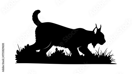 Lynx stalking in tall grass with transparent background