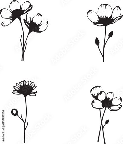 intricate black and white botanical illustration, detailed silhouette wildflowers, delicate plant sketches, nature study, high contrast digital art,