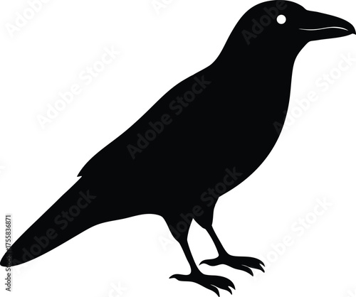Galactic Crow Formed From Stars Cosmic Double Art Vector silhouette