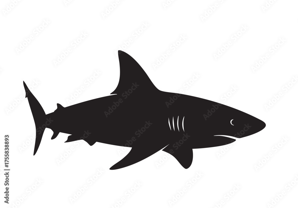 Fototapeta premium Silhouette of a great shark with gills and tail fin visible a animal ocean